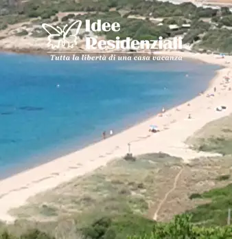 Foto annuncio 12