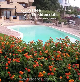 Foto annuncio 26