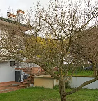 Foto annuncio 7