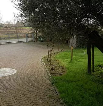 Foto annuncio 10