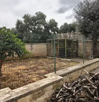 Foto annuncio 10