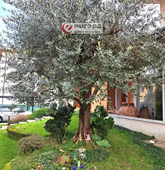 Foto annuncio 8