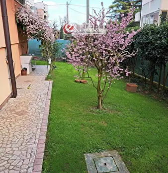 Foto annuncio 14