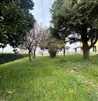 Foto annuncio 2