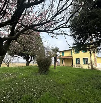Foto annuncio 7