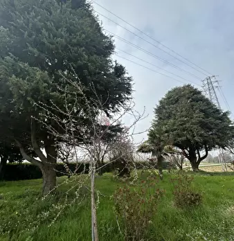 Foto annuncio 22