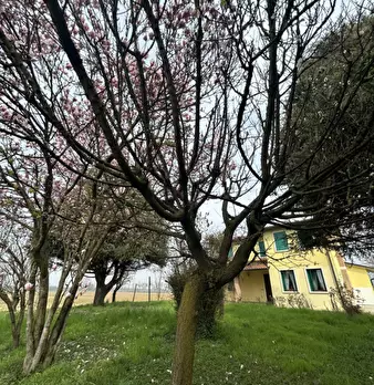 Foto annuncio 23