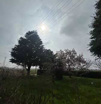 Foto annuncio 24