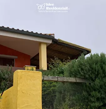 Foto annuncio 7