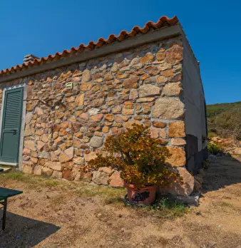 Foto annuncio 8