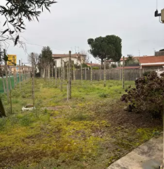 Foto annuncio 5