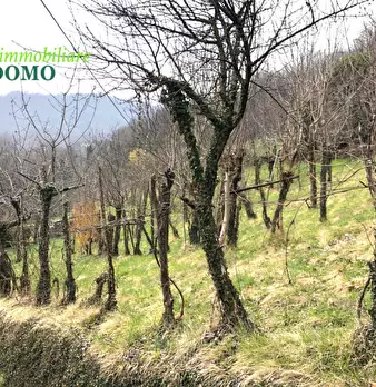 Foto annuncio 15