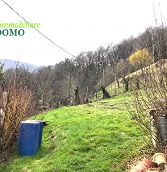 Foto annuncio 17