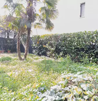 Foto annuncio 21
