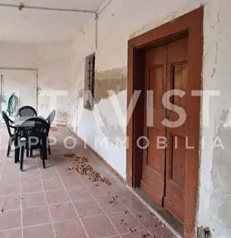 Foto annuncio 32