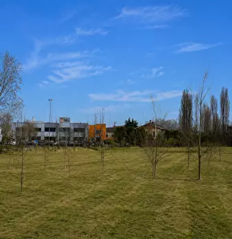 Foto annuncio 9