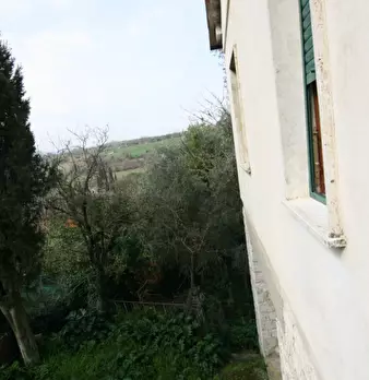 Foto annuncio 13