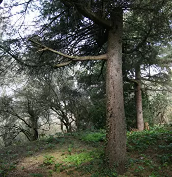 Foto annuncio 25