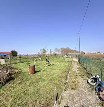 Foto annuncio 44