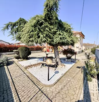 Foto annuncio 50