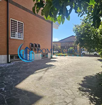 Foto annuncio 72