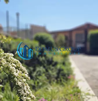 Foto annuncio 100