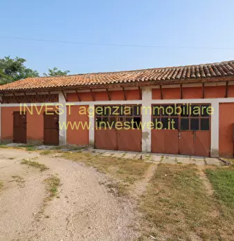 Foto annuncio 5