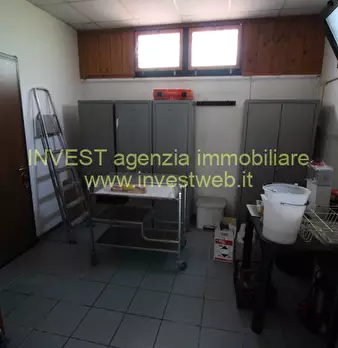Foto annuncio 35