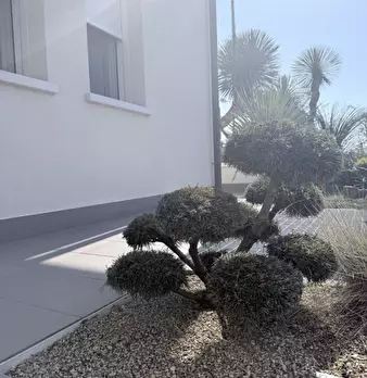 Foto annuncio 11