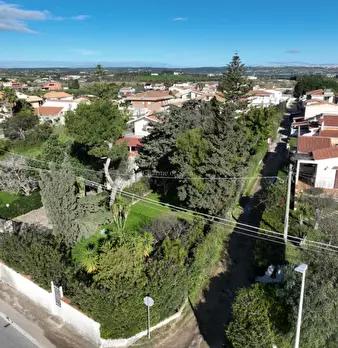 Foto annuncio 31