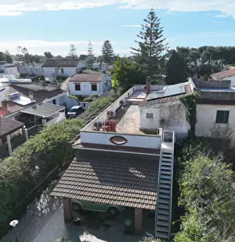 Foto annuncio 35