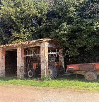 Foto annuncio 8