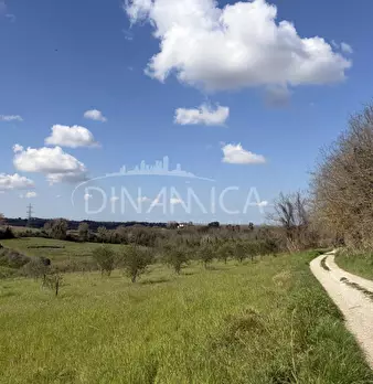 Foto annuncio 11