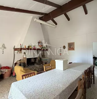 Foto annuncio 26