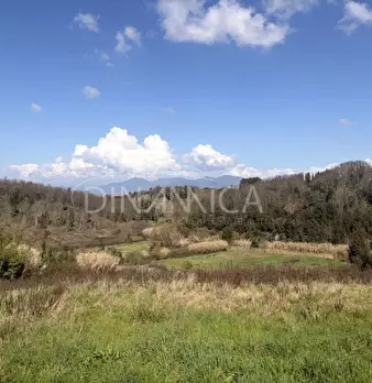 Foto annuncio 30