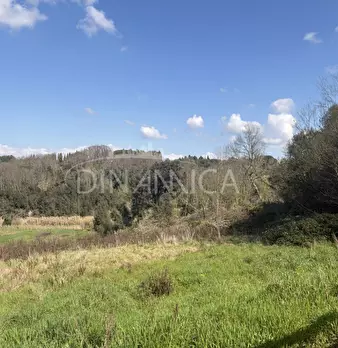 Foto annuncio 31