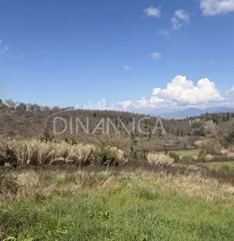 Foto annuncio 35
