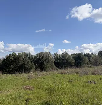 Foto annuncio 38