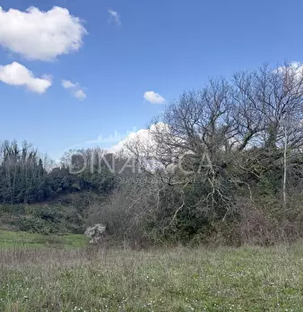Foto annuncio 41