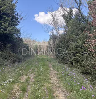 Foto annuncio 42