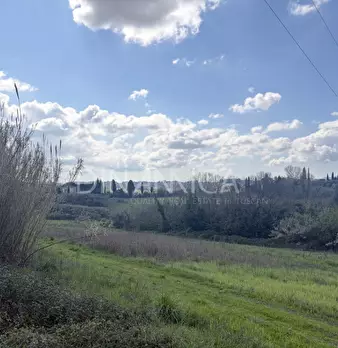 Foto annuncio 43