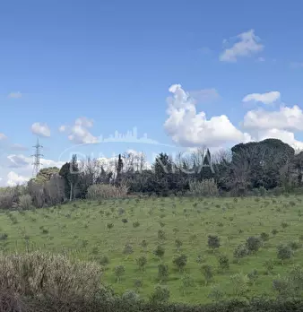 Foto annuncio 46