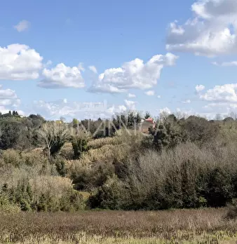 Foto annuncio 48