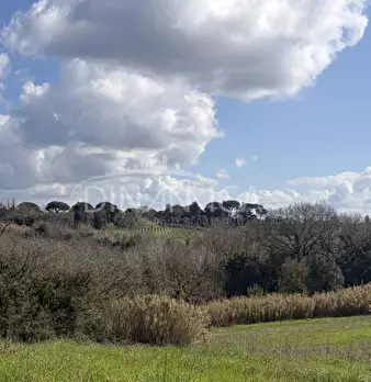 Foto annuncio 49