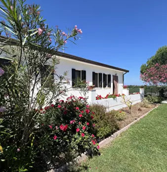 Foto annuncio 1