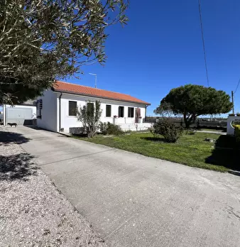 Foto annuncio 3