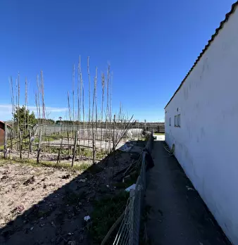 Foto annuncio 12