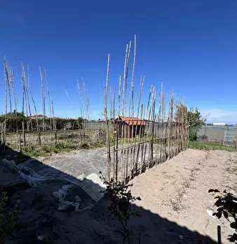 Foto annuncio 13