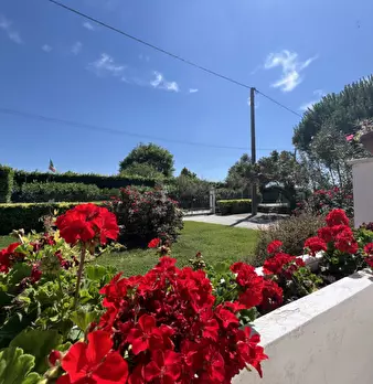 Foto annuncio 19