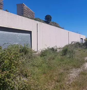 Foto annuncio 1